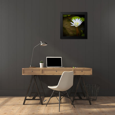 Lily and Fly Black Modern Wood Framed Art Print by Vizvary, Susan