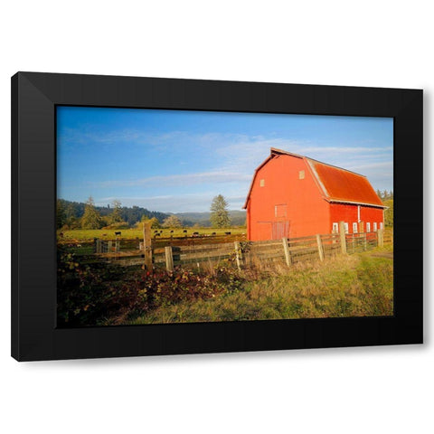Red Barn With Cows Black Modern Wood Framed Art Print by Vizvary, Susan