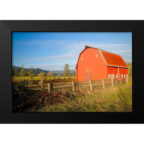 Red Barn With Cows Black Modern Wood Framed Art Print by Vizvary, Susan
