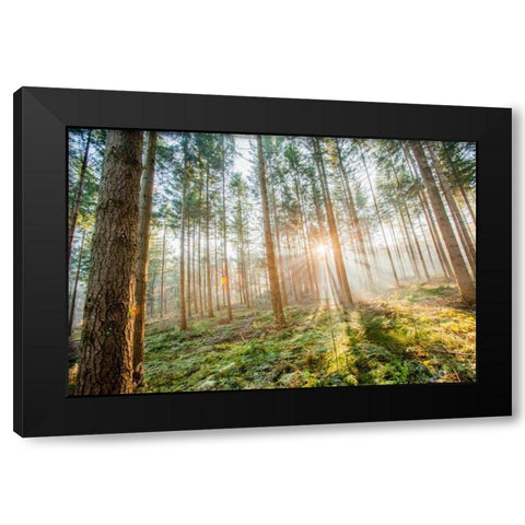 Sunflare 1 Black Modern Wood Framed Art Print with Double Matting by Henk van Gog