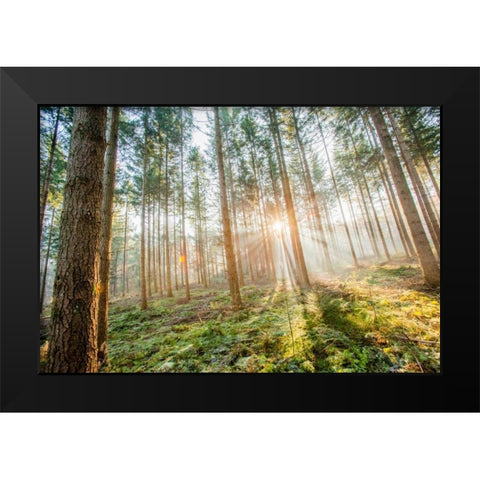 Sunflare 1 Black Modern Wood Framed Art Print by Henk van Gog