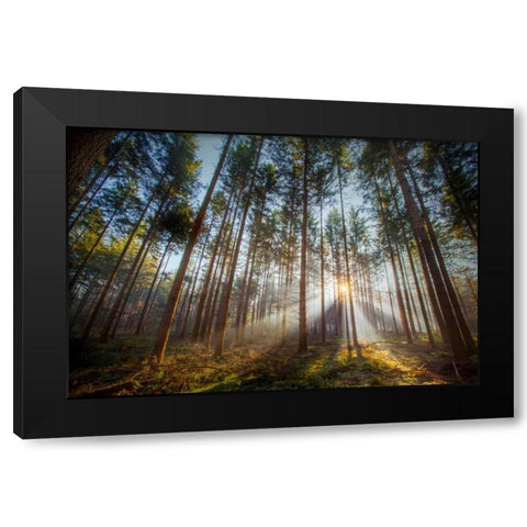 Sunflare 2 Black Modern Wood Framed Art Print by Henk van Gog