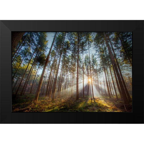 Sunflare 2 Black Modern Wood Framed Art Print by Henk van Gog