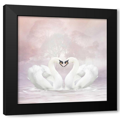 Love Swans Black Modern Wood Framed Art Print with Double Matting by Babette