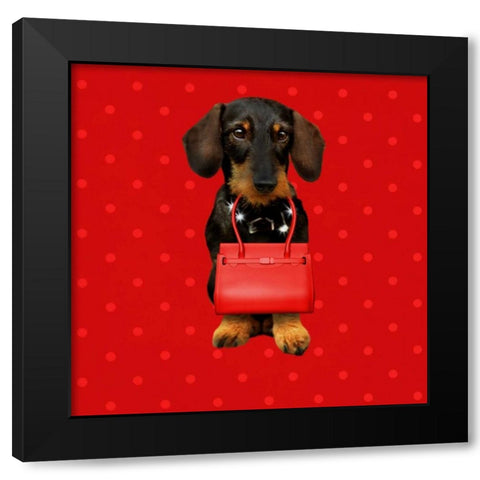 Teckel Red Black Modern Wood Framed Art Print by Babette