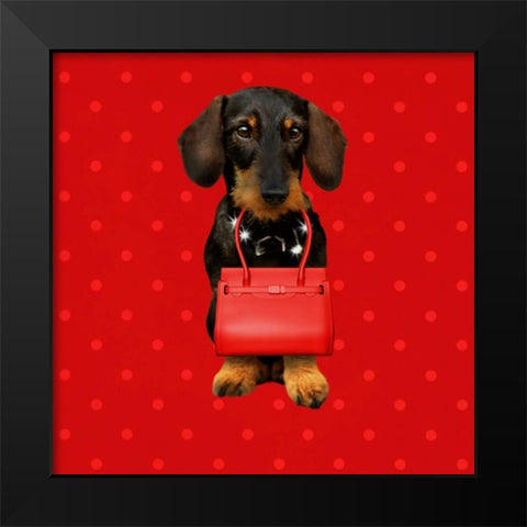 Teckel Red Black Modern Wood Framed Art Print by Babette