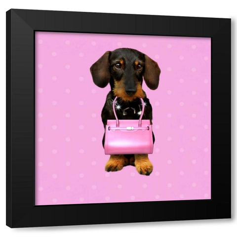 Teckel Rose Black Modern Wood Framed Art Print with Double Matting by Babette