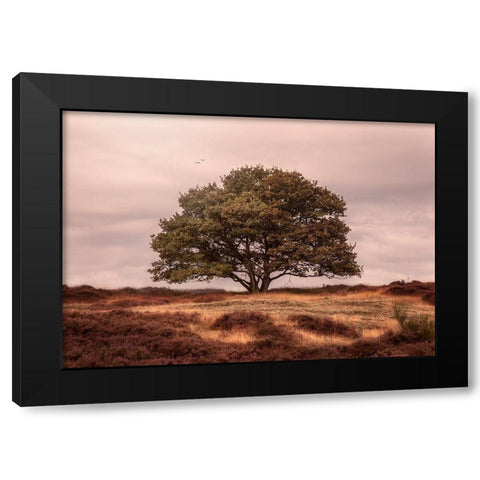 Tree Black Modern Wood Framed Art Print by Henk van Gog
