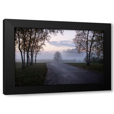 Foggy Morning II Black Modern Wood Framed Art Print with Double Matting by Carlier, Dick