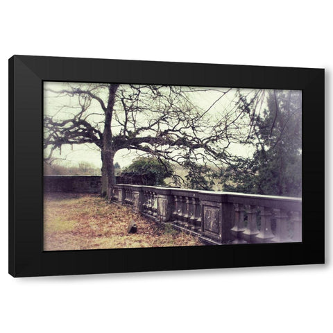 Lonely Tree Black Modern Wood Framed Art Print with Double Matting by Carlier, Dick
