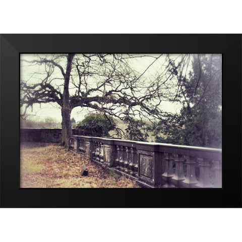 Lonely Tree Black Modern Wood Framed Art Print by Carlier, Dick