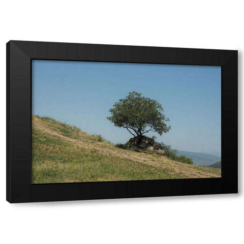 Tree On Hill Black Modern Wood Framed Art Print by Carlier, Dick