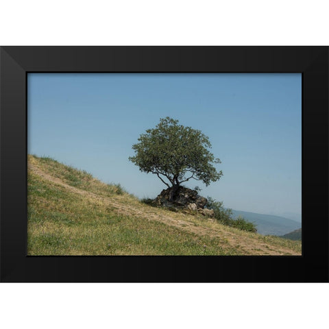 Tree On Hill Black Modern Wood Framed Art Print by Carlier, Dick