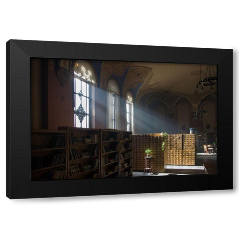 Library Black Modern Wood Framed Art Print with Double Matting by Carlier, Dick