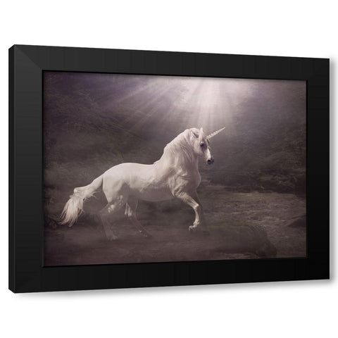 Unicorn Black Modern Wood Framed Art Print with Double Matting by Babette