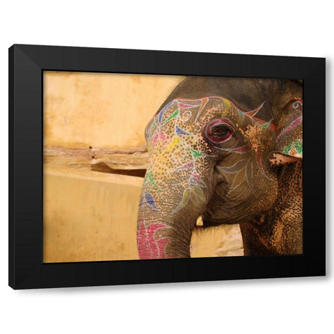 Elephant India Black Modern Wood Framed Art Print with Double Matting by Babette