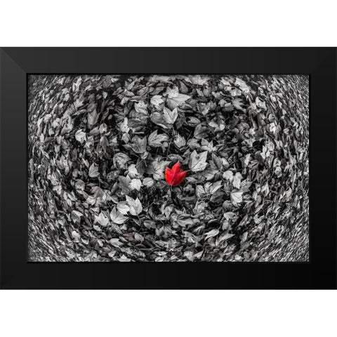 Red Leaf Black Modern Wood Framed Art Print by Kostka, Vladimir