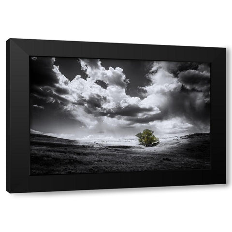 The Green Tree Black Modern Wood Framed Art Print by Kostka, Vladimir