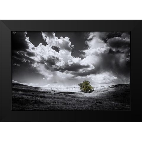 The Green Tree Black Modern Wood Framed Art Print by Kostka, Vladimir
