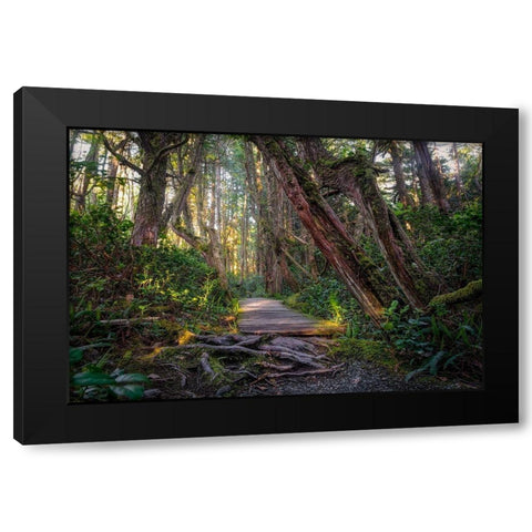 Woods I Black Modern Wood Framed Art Print with Double Matting by Kostka, Vladimir