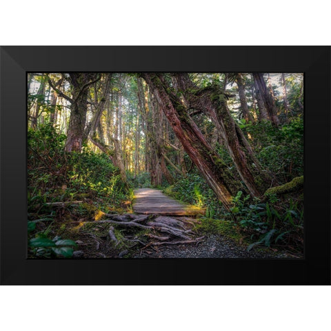 Woods I Black Modern Wood Framed Art Print by Kostka, Vladimir