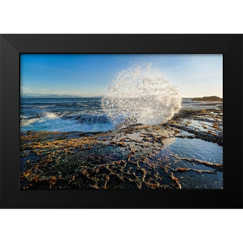 Splash II Black Modern Wood Framed Art Print by Kostka, Vladimir