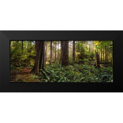 Woods II Black Modern Wood Framed Art Print by Kostka, Vladimir