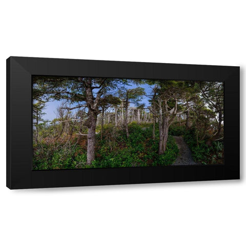 Woods III Black Modern Wood Framed Art Print by Kostka, Vladimir