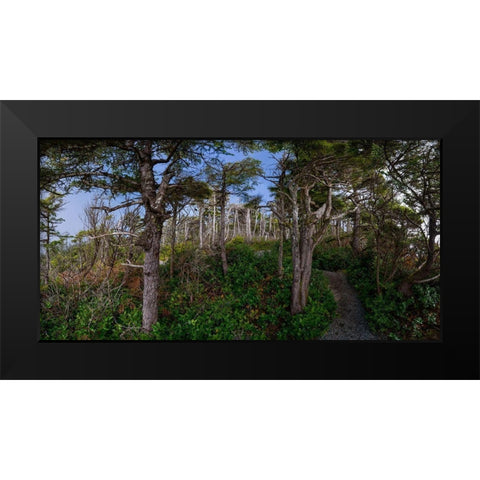 Woods III Black Modern Wood Framed Art Print by Kostka, Vladimir