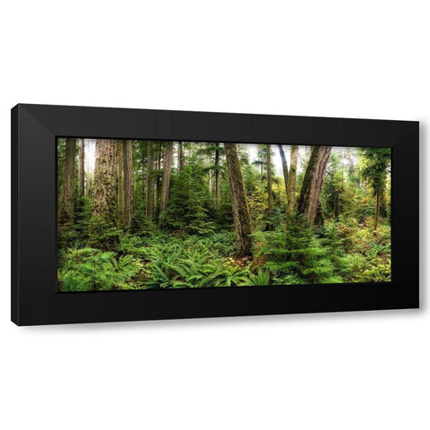 Woods V Black Modern Wood Framed Art Print with Double Matting by Kostka, Vladimir