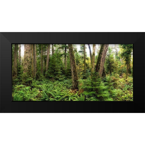 Woods V Black Modern Wood Framed Art Print by Kostka, Vladimir