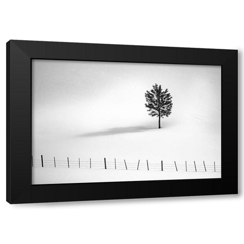 Tree And Fence Bw Black Modern Wood Framed Art Print with Double Matting by Kostka, Vladimir