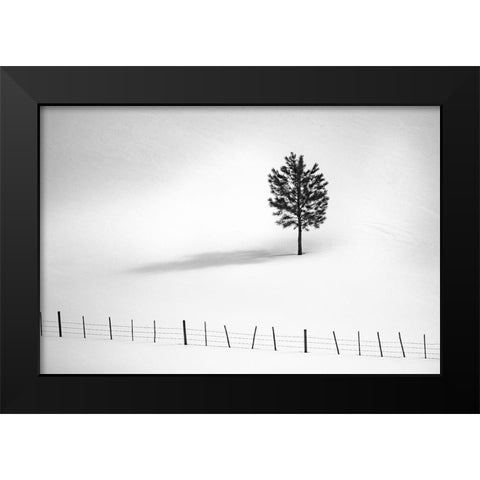Tree And Fence Bw Black Modern Wood Framed Art Print by Kostka, Vladimir
