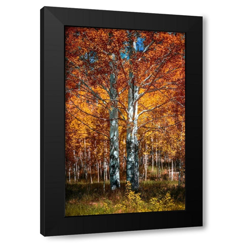 Autum Black Modern Wood Framed Art Print by Kostka, Vladimir