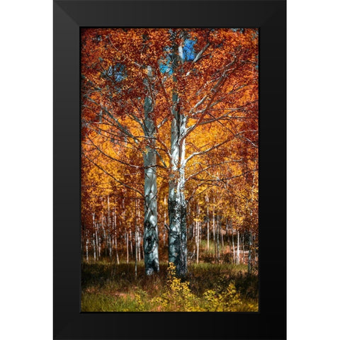 Autum Black Modern Wood Framed Art Print by Kostka, Vladimir