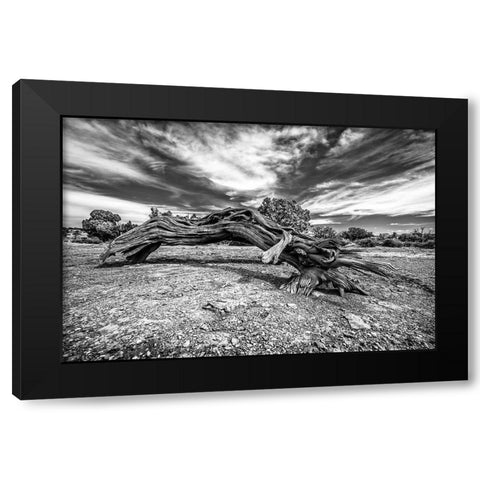 Bw Wood Black Modern Wood Framed Art Print with Double Matting by Kostka, Vladimir