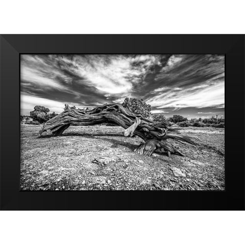 Bw Wood Black Modern Wood Framed Art Print by Kostka, Vladimir