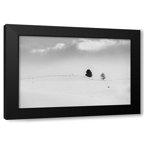 Lonely Trees Black Modern Wood Framed Art Print with Double Matting by Kostka, Vladimir