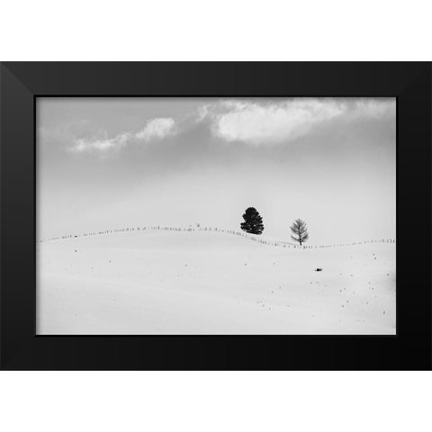 Lonely Trees Black Modern Wood Framed Art Print by Kostka, Vladimir