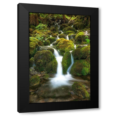 Waterfall I Black Modern Wood Framed Art Print with Double Matting by Kostka, Vladimir