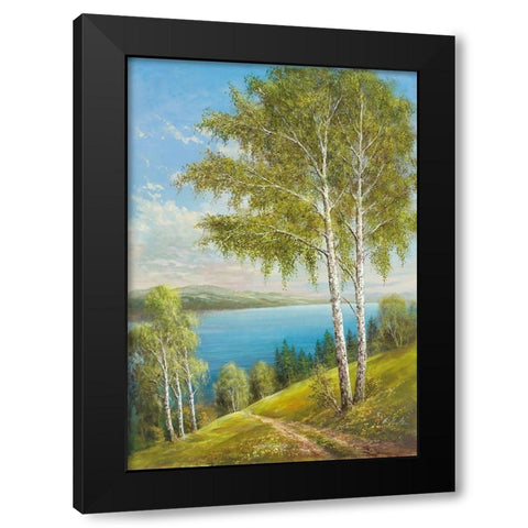 BIRCHES AT THE LAKE II Black Modern Wood Framed Art Print by Glassl, Helmut