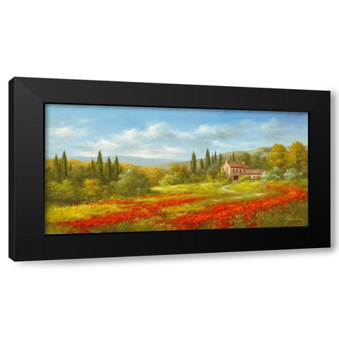 Tuscan Beauty II Black Modern Wood Framed Art Print with Double Matting by Schoelnhammer, Heinz