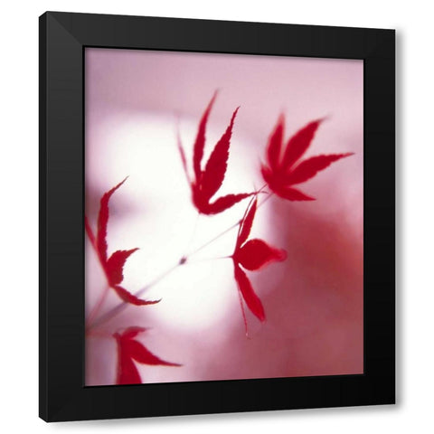 Arrangement Of The Leaves I Black Modern Wood Framed Art Print by Weissing, Gerd