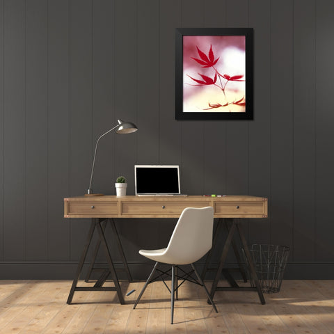 Arrangement Of The Leaves II Black Modern Wood Framed Art Print by Weissing, Gerd