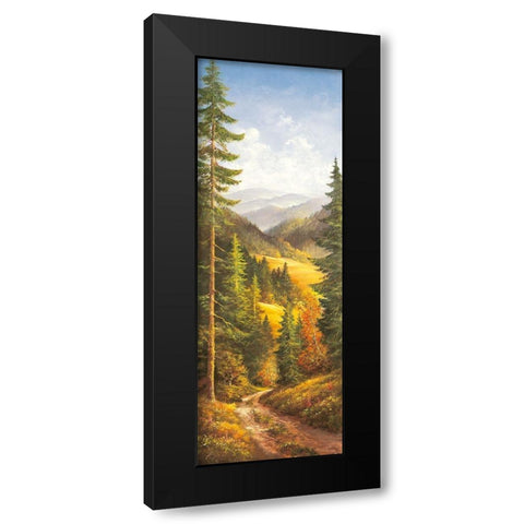 MIDDAY SKY I Black Modern Wood Framed Art Print with Double Matting by Glassl, Helmut