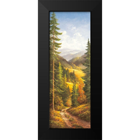 MIDDAY SKY I Black Modern Wood Framed Art Print by Glassl, Helmut