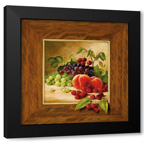 FRUIT POTPOURRI II Black Modern Wood Framed Art Print with Double Matting by Schoelnhammer, Heinz