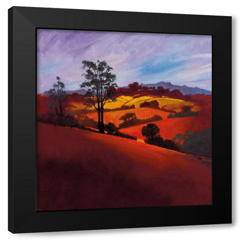 EVENING GLORY Black Modern Wood Framed Art Print with Double Matting by Lee, Spencer