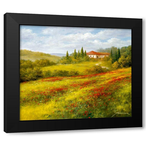 Landscape With Poppies I Black Modern Wood Framed Art Print with Double Matting by Schoelnhammer, Heinz