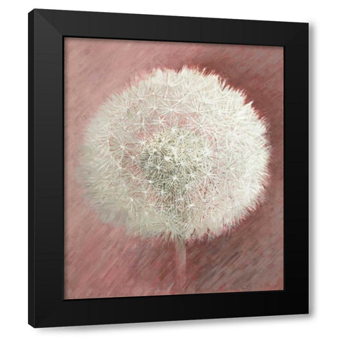 Dandelion Clock II Black Modern Wood Framed Art Print by Verdonck, Elisabeth